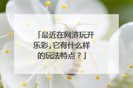 最近在网浒玩开乐彩,它有什么样的玩法特点？