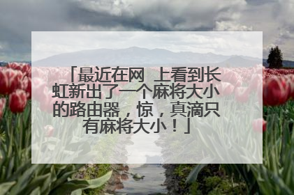 最近在网 上看到长虹新出了一个麻将大小的路由器，惊，真滴只有麻将大小！