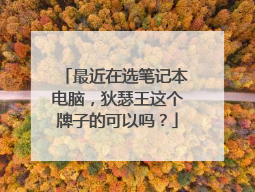 最近在选笔记本电脑,狄瑟王这个牌子的可以吗?