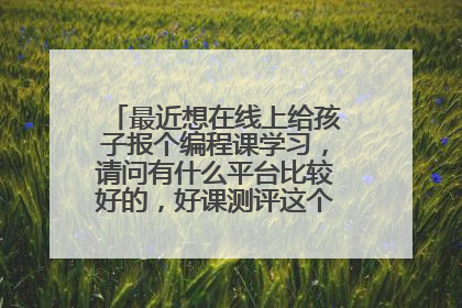 最近想在线上给孩子报个编程课学习,请问有什么平台比较好的,好课测评这个平台如何?