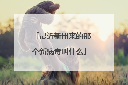 最近新出来的那个新病毒叫什么