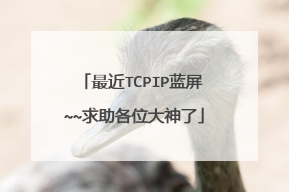 最近TCPIP蓝屏~~求助各位大神了