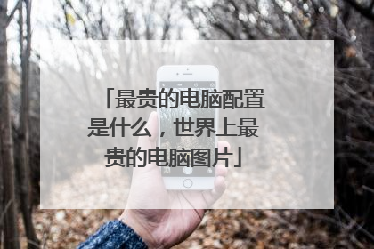 最贵的电脑配置是什么,世界上最贵的电脑图片