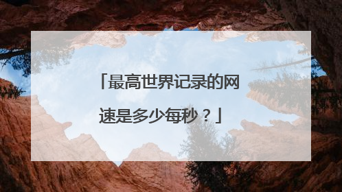 最高世界记录的网速是多少每秒?