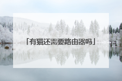 有猫还需要路由器吗