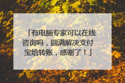 有电脑专家可以在线咨询吗，圆满解决支付宝给转账，感谢了！