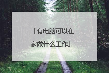 有电脑可以在家做什么工作