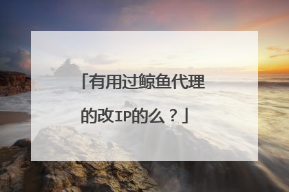 有用过鲸鱼代理的改IP的么?