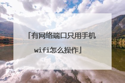 有网络端口只用手机wifi怎么操作