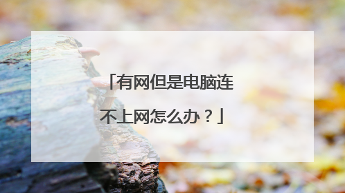 有网但是电脑连不上网怎么办?