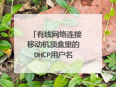 有线网络连接移动机顶盒里的DHCP用户名和密码是什么