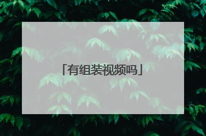 有组装视频吗