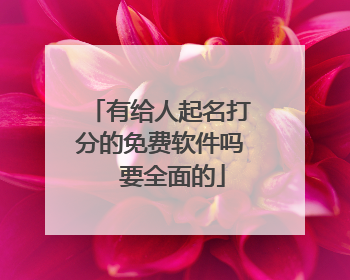 有给人起名打分的免费软件吗  要全面的