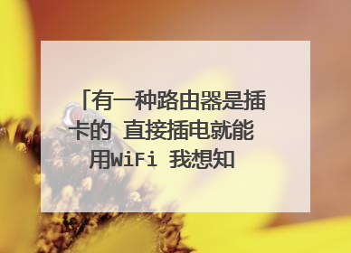 有一种路由器是插卡的 直接插电就能用WiFi 我想知道那属于什么路由器 插得是什么卡 卡的流量大概