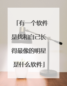 有一个软件是找和自己长得最像的明星是什么软件