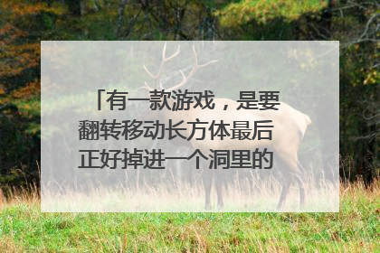 有一款游戏,是要翻转移动长方体最后正好掉进一个洞里的,叫什么?