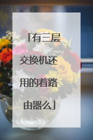 有三层交换机还用的着路由器么