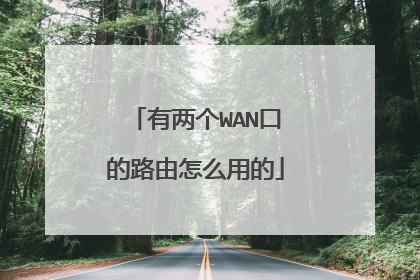 有两个WAN口的路由怎么用的