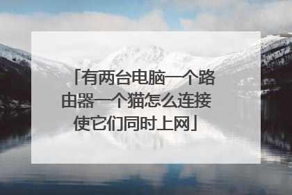 有两台电脑一个路由器一个猫怎么连接使它们同时上网