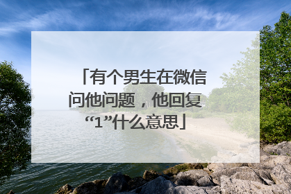 有个男生在微信问他问题，他回复“1”什么意思