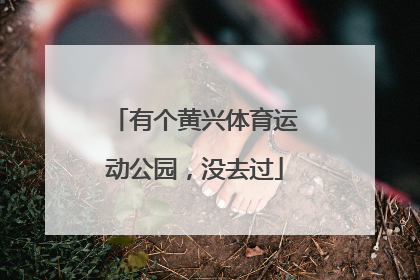 有个黄兴体育运动公园，没去过