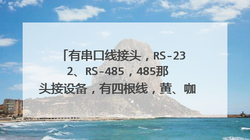 有串口线接头,RS-232、RS-485,485那头接设备,有四根线,黄、咖啡色、蓝、黑。qing