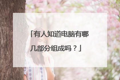 有人知道电脑有哪几部分组成吗?