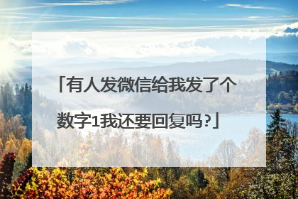 有人发微信给我发了个数字1我还要回复吗?