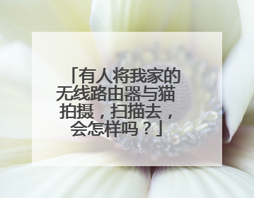 有人将我家的无线路由器与猫拍摄,扫描去,会怎样吗?