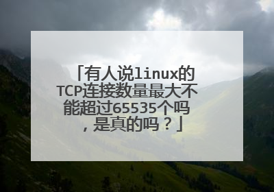 有人说linux的TCP连接数量最大不能超过65535个吗，是真的吗？