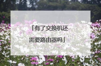 有了交换机还需要路由器吗