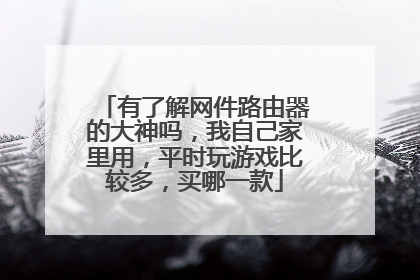 有了解网件路由器的大神吗,我自己家里用,平时玩游戏比较多,买哪一款