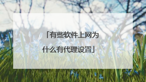 有些软件上网为什么有代理设置