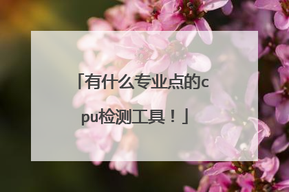 有什么专业点的cpu检测工具！
