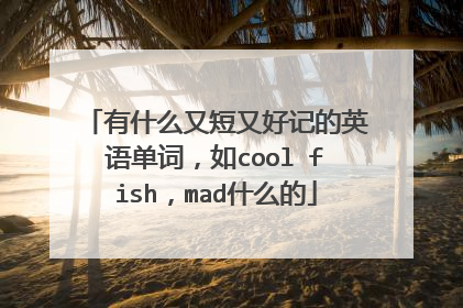 有什么又短又好记的英语单词，如cool fish，mad什么的