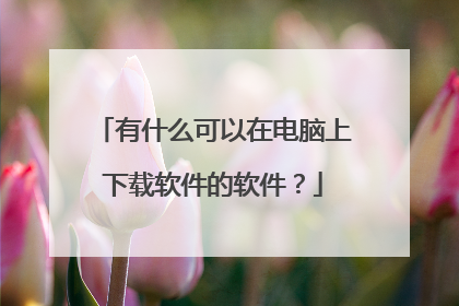 有什么可以在电脑上下载软件的软件?