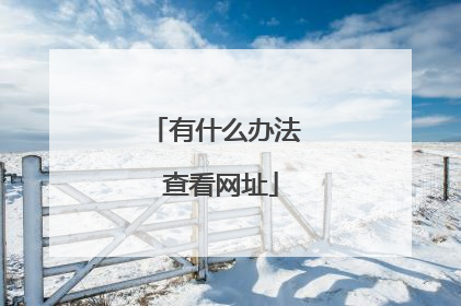 有什么办法 查看网址