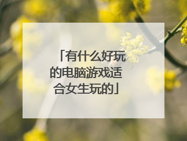 有什么好玩的电脑游戏适合女生玩的