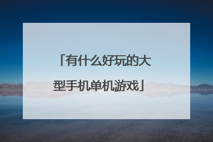 有什么好玩的大型手机单机游戏