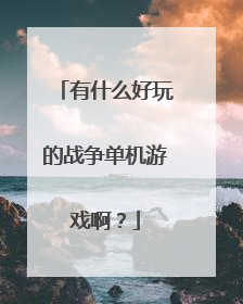 有什么好玩的战争单机游戏啊?
