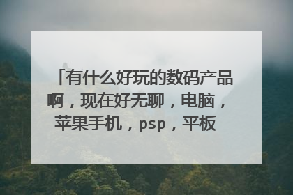 有什么好玩的数码产品啊，现在好无聊，电脑，苹果手机，psp，平板，这些都有了，预计在6000以下的