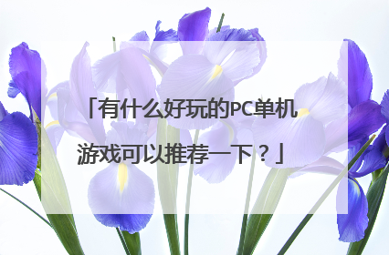 有什么好玩的PC单机游戏可以推荐一下?