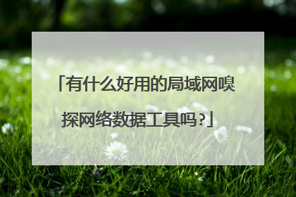 有什么好用的局域网嗅探网络数据工具吗?