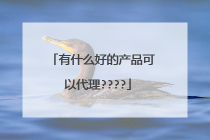 有什么好的产品可以代理????
