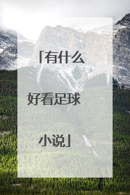 有什么好看足球小说