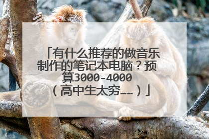 有什么推荐的做音乐制作的笔记本电脑?预算3000-4000(高中生太穷……)