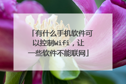 有什么手机软件可以控制Wifi,让一些软件不能联网