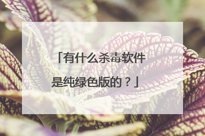 有什么杀毒软件是纯绿色版的？