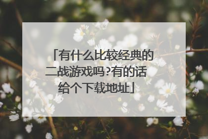 有什么比较经典的二战游戏吗?有的话给个下载地址