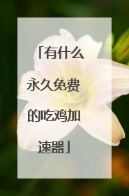 有什么永久免费的吃鸡加速器